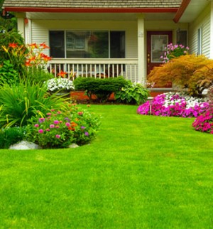 Lawn Garden Hardware in Trinidad