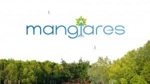 Humedales y Manglares de Mexico: Pioneering Sustainable Solutions for Environmental Challenges
