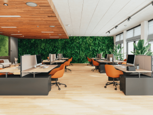 Biophillic Design Sustainable Office Design
