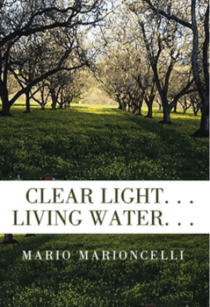 CLEAR LIGHT LIVING WATER