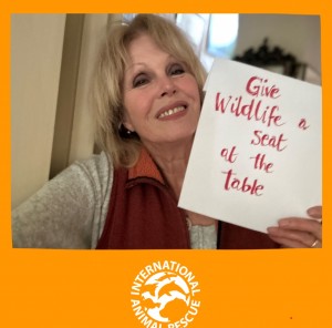 joannalumley COP28