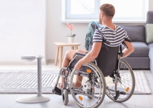 Elev Pet Feeding System