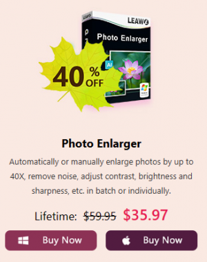 Photo Enlarger