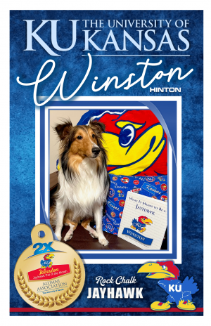 Winston Hinton | KU Pet of the Month Honor