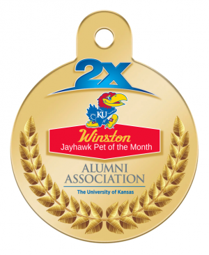 Winston Hinton | KU Pet of the Month