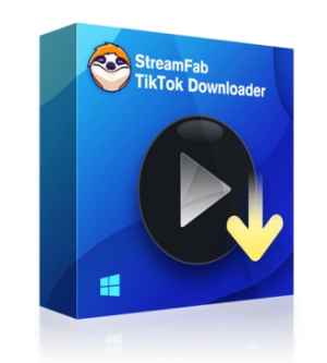 TikTok Downloader