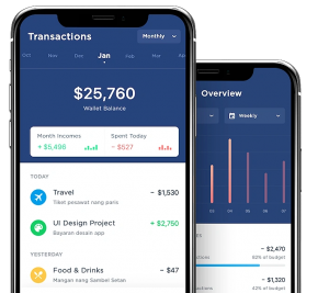 mobile app development