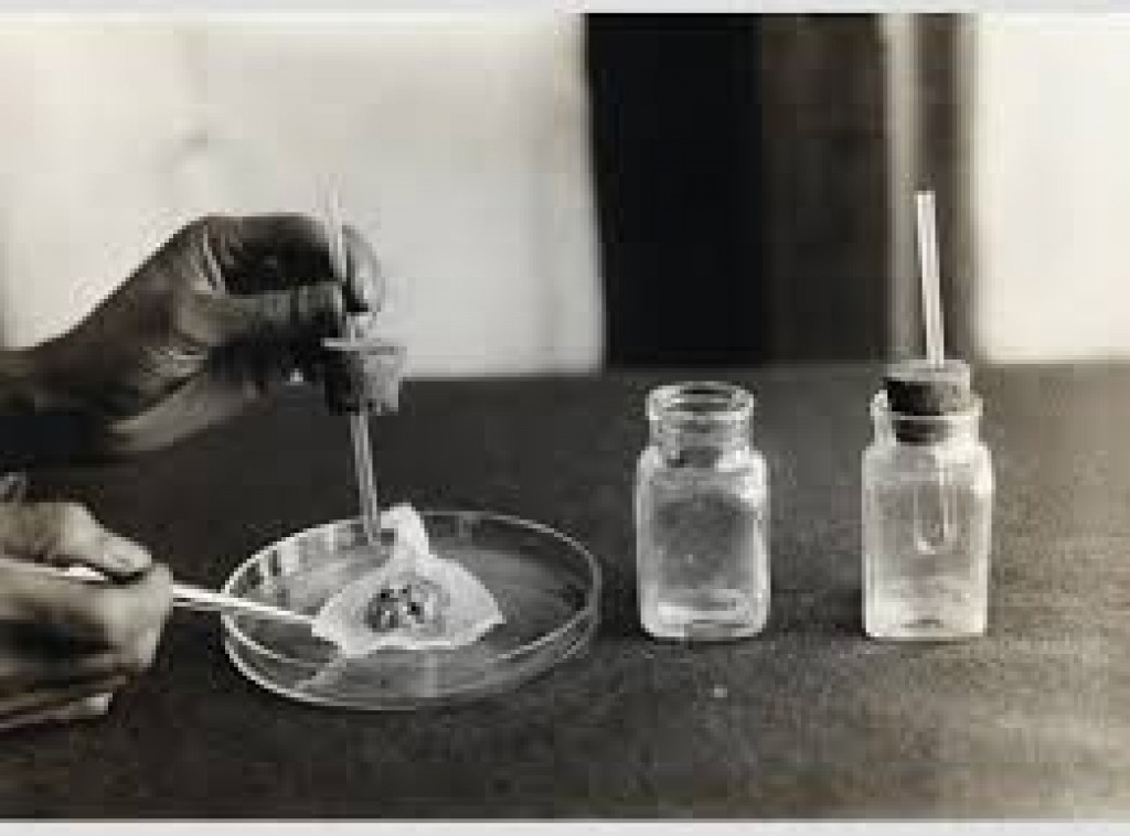 Cell Culture Media for Vaccine Market Cell Culture Media for Vaccine Market