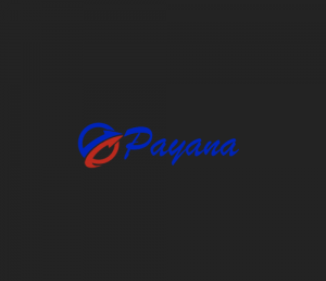 Payana Transfers Revolutionizes International Money Transfers with Seamless and Secure Solutions