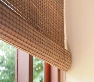 gayaram chick maker2