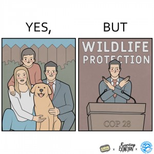 Jane Goodall COP28 Comic FIN
