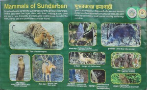 Satkosia Tour