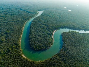 Sundarban