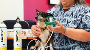 the leading pet oxygen supplier for fire departments