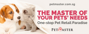 PetMaster SEO Cover Image