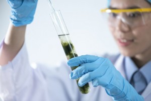 NEA Launching Pilot Projects to Propel China’s Biodiesel Production and Consumption, Reports Geeky News