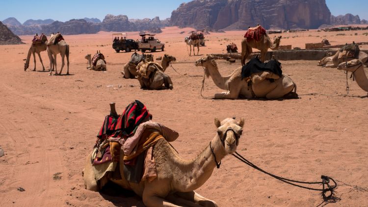 Wadi Rum