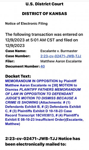 Johnson County Chief Judge & District Judge Under Criminal Claims inside Kids Custody Cases, KS Dad Restoring Justice  