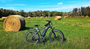 Magicycle Cruiser Pro