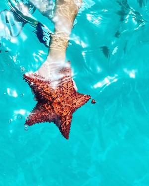 used5B826242 8FF1 4BC3 8E11 8084C180DE76 1920w