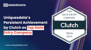 Uniquesdata s Persistent Achievement by Clutch as Top Data Entry Company