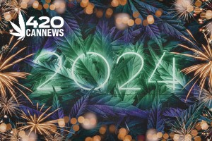 420 trends in 2024