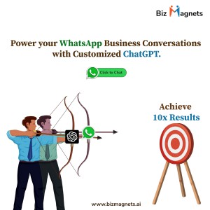 whatsapp business api