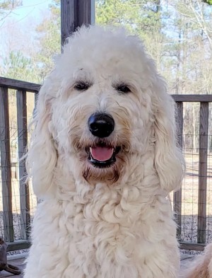 Southern Charm s Miss Grace