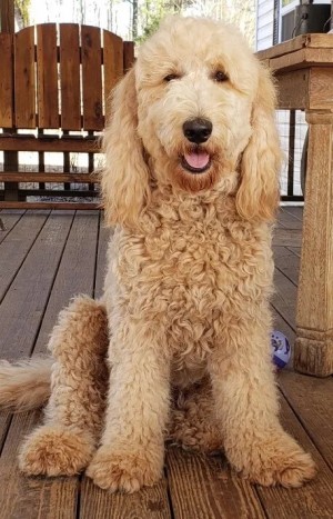 Southern Charm s Miss Maddie