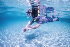 Provident Equinox Bangalore