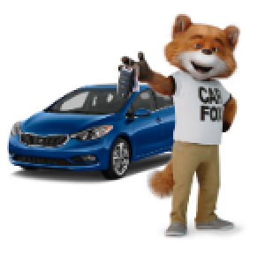 Unraveling the Mystery of Carfax Pricing: A Closer Look at USA Cars' History