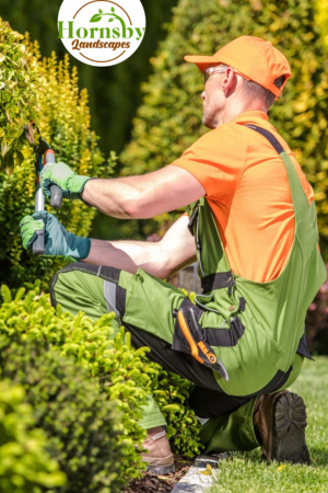 Sydney garden maintenance and landscaping