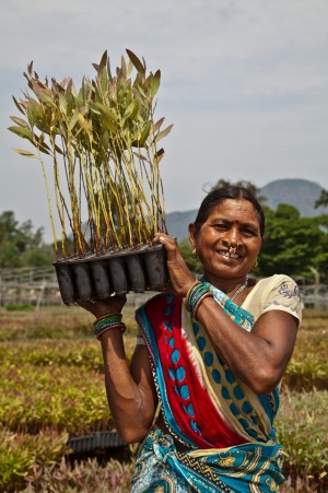 4be7b452 92ef 45e4 b043 bf1eb5da2355