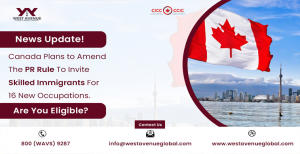 West Avenue Services Reviews