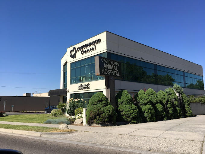 Cottonwood Dental Recognized for Outstanding Patient Care in Salt Lake