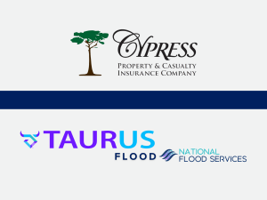 Taurus Flood NFS Cypress PR