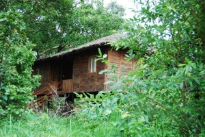 Best place to eat in Pench