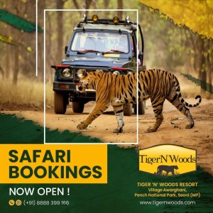 Pench Jungle Safari Booking