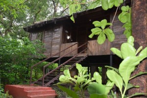 wooden machan resort in pench