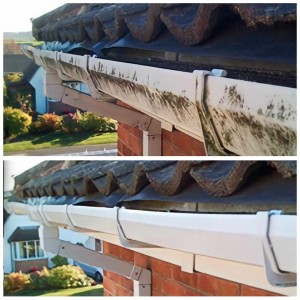 Fascias, Soffit & Gutter Cleaning
