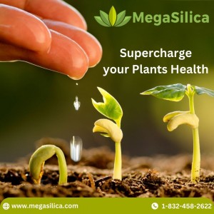 Megasilisca - Organic AgroNutritionals