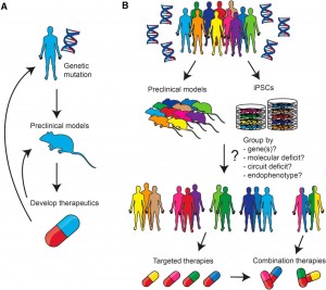 Autism Spectrum Disorder Therapeutics Market