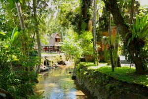 Lush gardens in the 4* resort