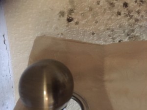 Errol Baptiste 43 Bengarth Road Northolt Ealing UB5 5LH picture of deteriorating damp mould ceiling 