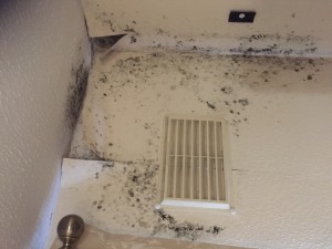 Errol Baptiste 43 Bengarth Road Northolt Ealing UB5 5LH picture of deteriorating damp mould peeling 