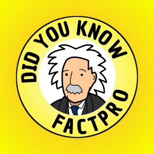 Meet The Face Behind The Facts Pro 