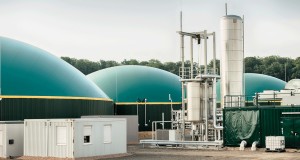 bel trading & consulting ltd