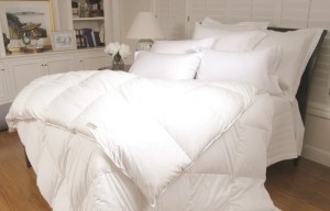 Down Comforters on Sale