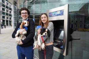 Metro Bank Launches First Bank Account For Dogs To Grab A Slice Of The Hound Pound Purchasing Power