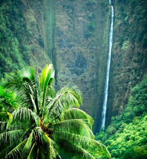 Coconut Corporation Launches “Coconut H2O” Hawaiian Coconut Water: A Natural Sports Drink Revolutionizing Hydration